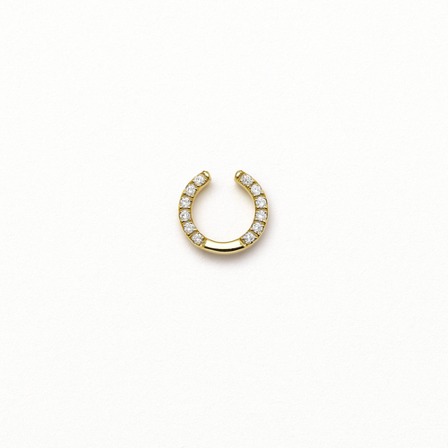 HORSESHOE CHARM
